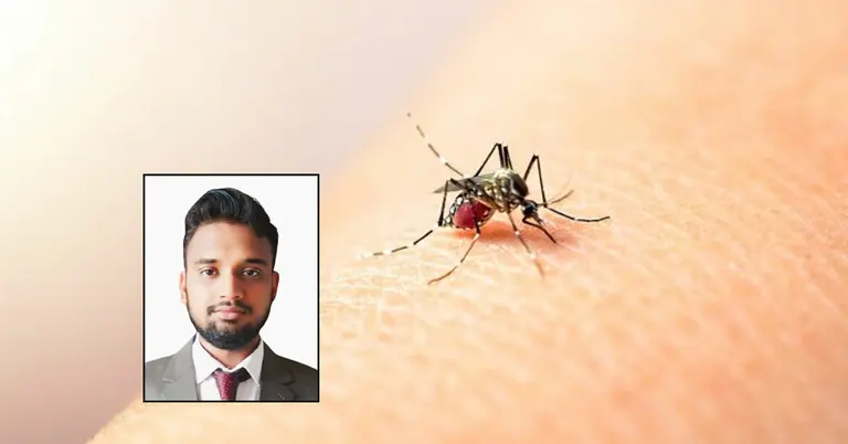 ডেঙ্গুবাহী মশা